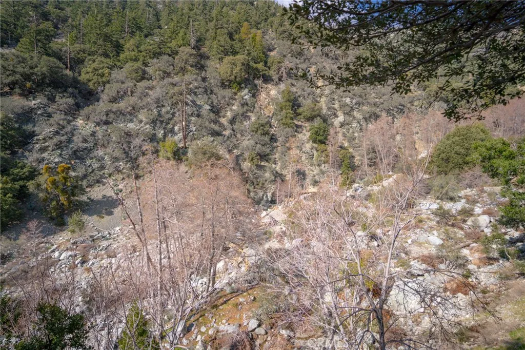 73 San Antonio Creek, Mt Baldy, California 91759 home-pic-11