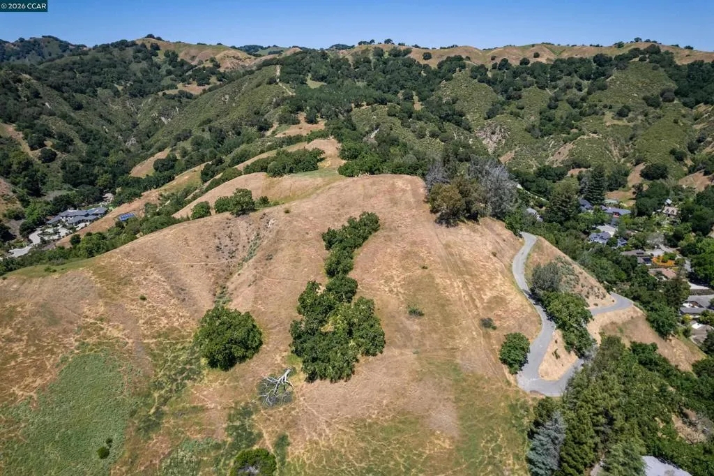 Road to the lot