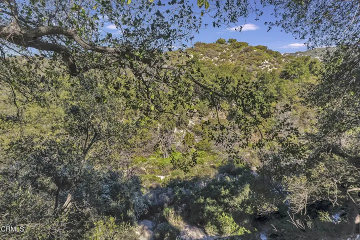 2443 Shields hshprod (16 of 41)