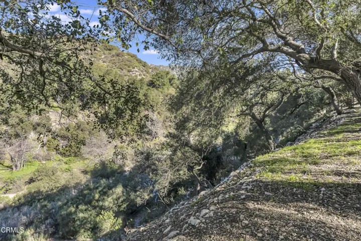 2443 Shields hshprod (15 of 41)