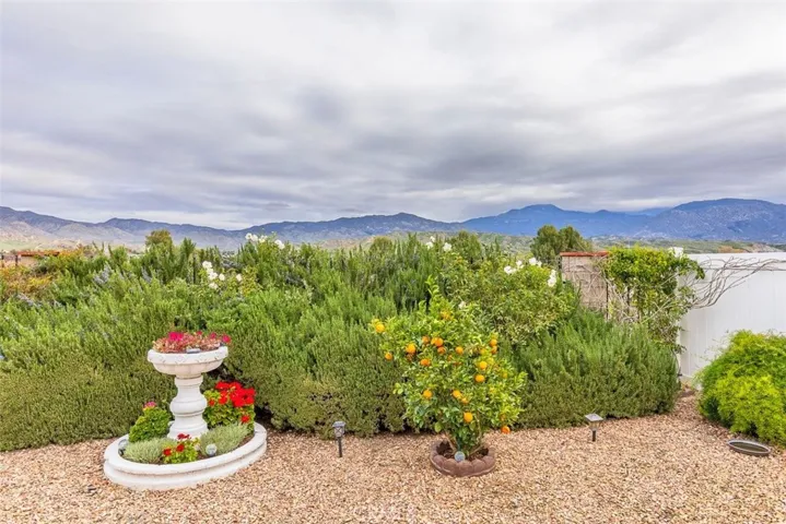 Back yard views and privacy