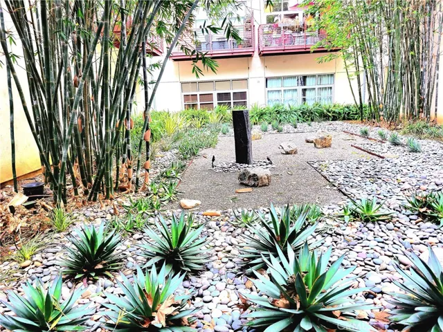 Zen Garden