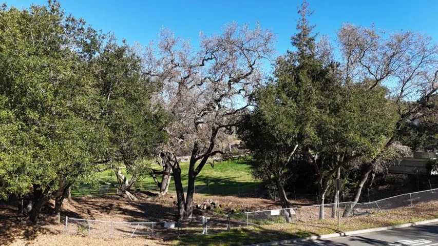 6824 Leyland Park Drive, San Jose, California 95120