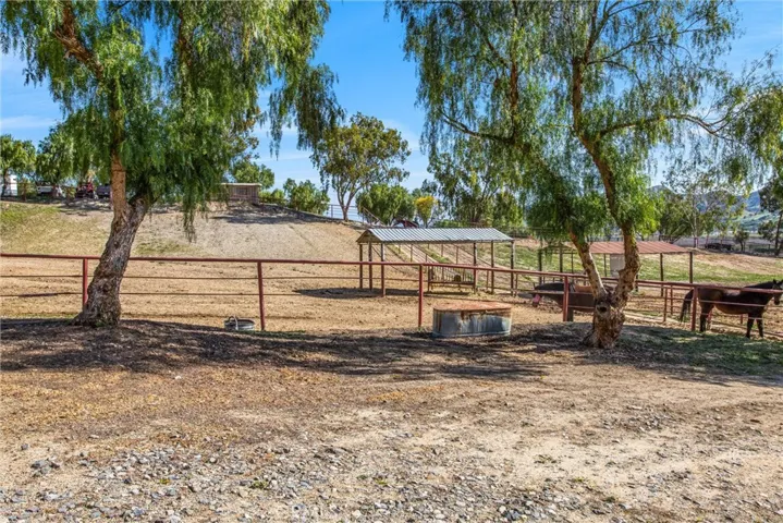 Horse shown in photo is not included in the sale of the property.