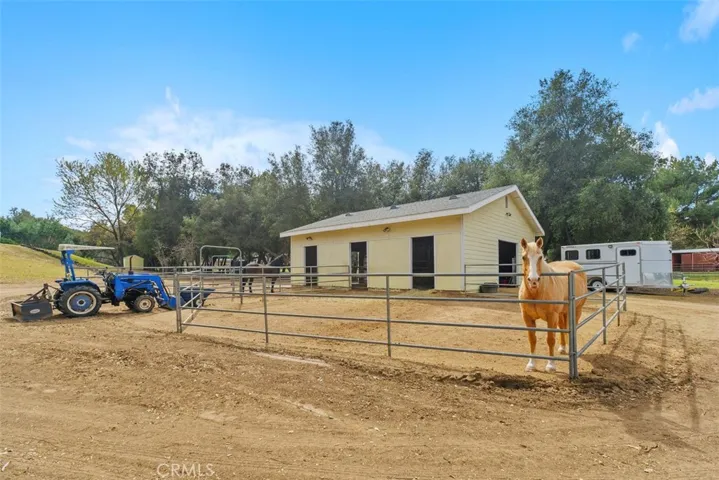 Perfect horse facilities
