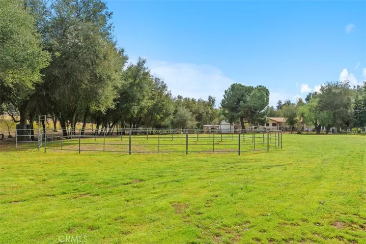 Large area for horses or other ideas