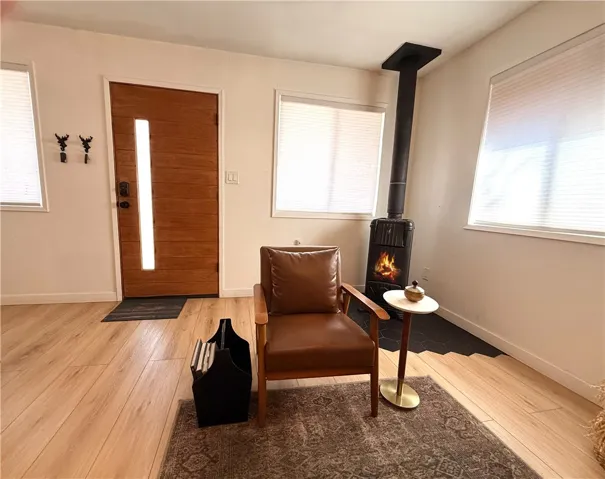Living wood burning stove