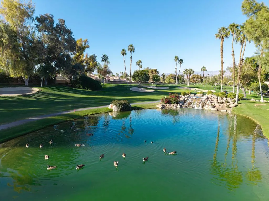 41721 Woodhaven Drive W, Palm Desert, California 92211 home-pic-20