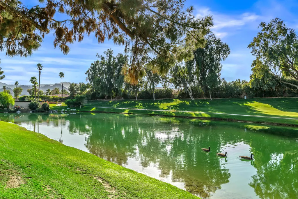 41721 Woodhaven Drive W, Palm Desert, California 92211 home-pic-3