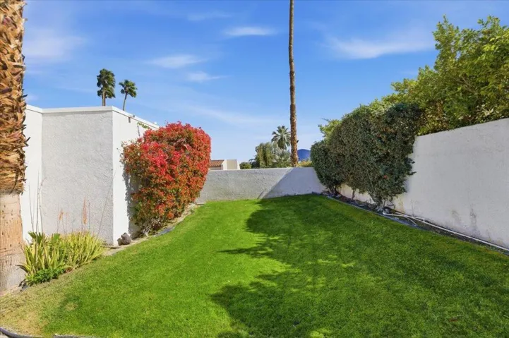 50-Backyard