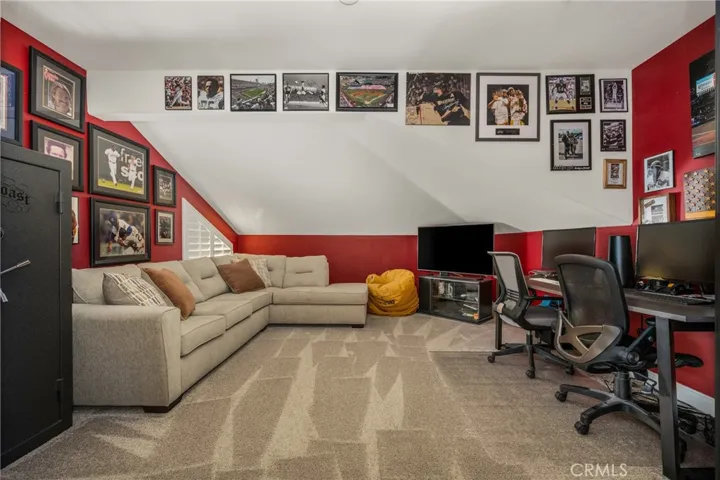 bonus room/office