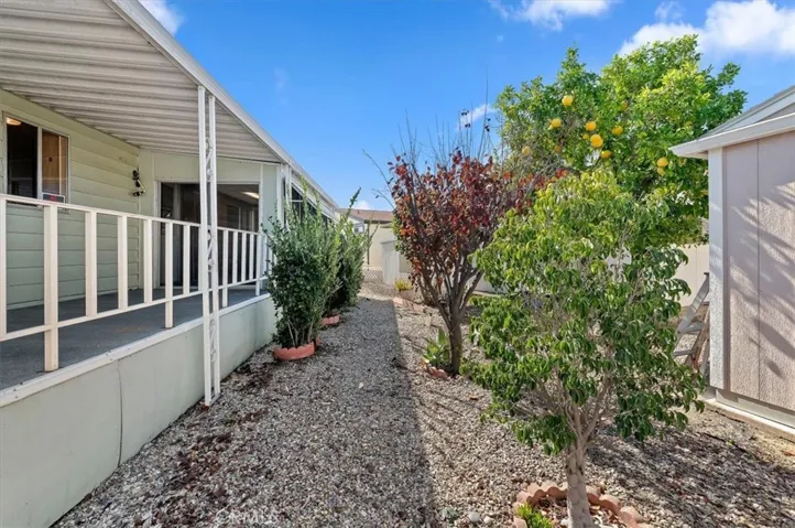 Side Yard