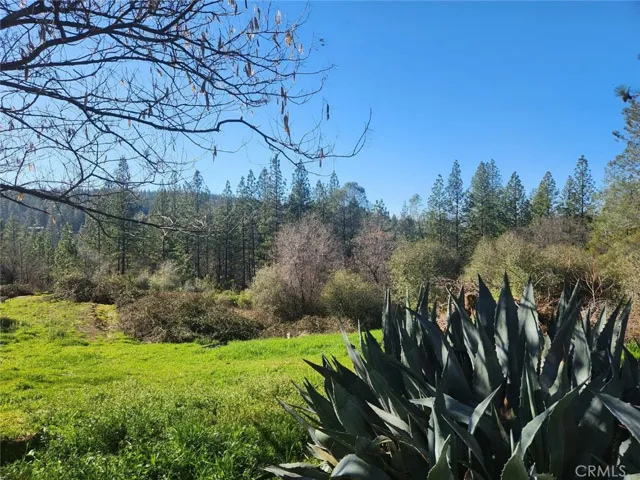 9366 Ranger Trail, Oregon House, California 95962