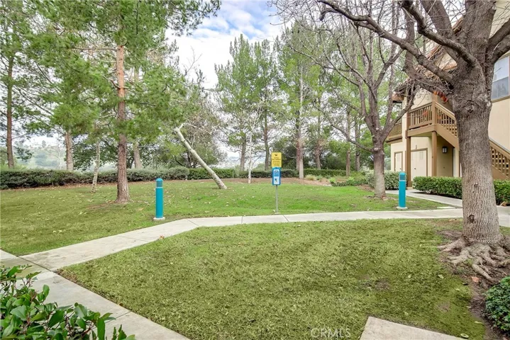 Community Dog Park