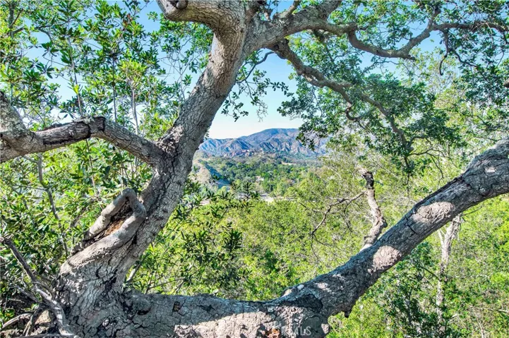 42 Abrigo, Rancho Santa Margarita, California 92688