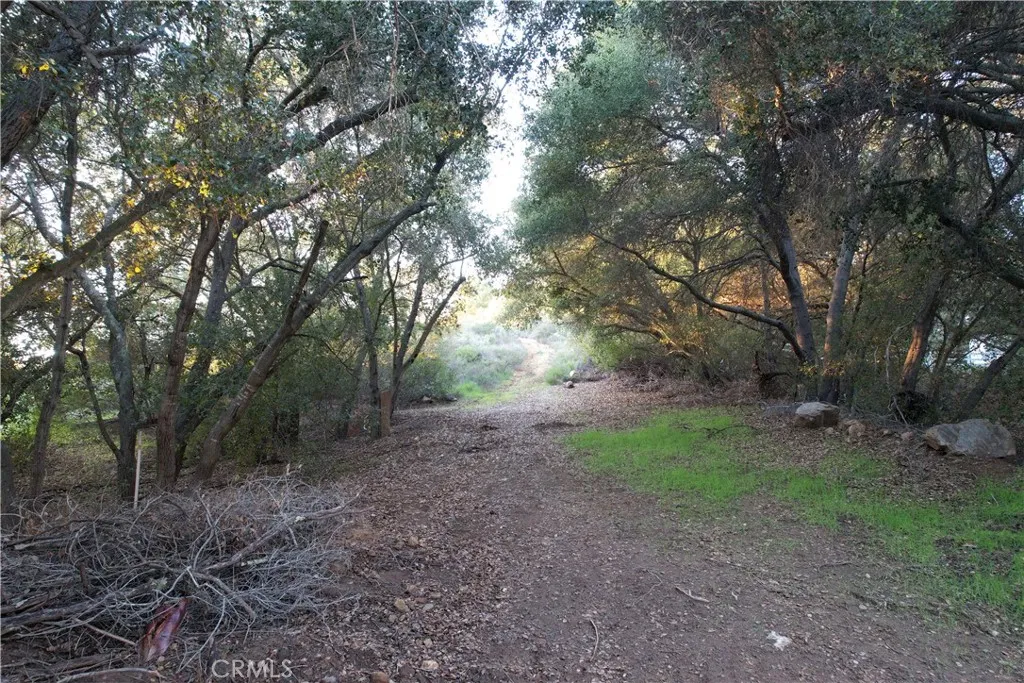 driveway up towards property from Via Escondido