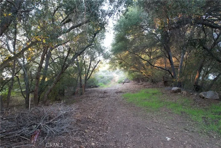 driveway up towards property from Via Escondido