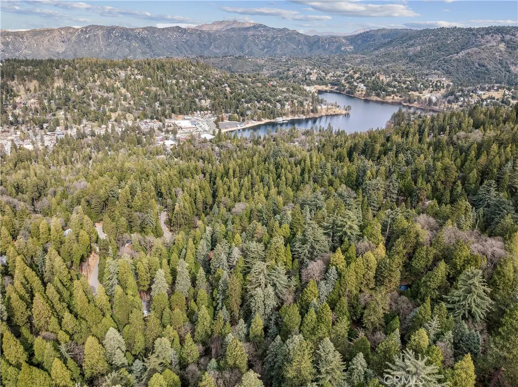 23959 Lakeview Drive, Crestline, California 92325 home-pic-40