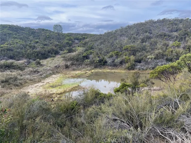 Seasonal pond
