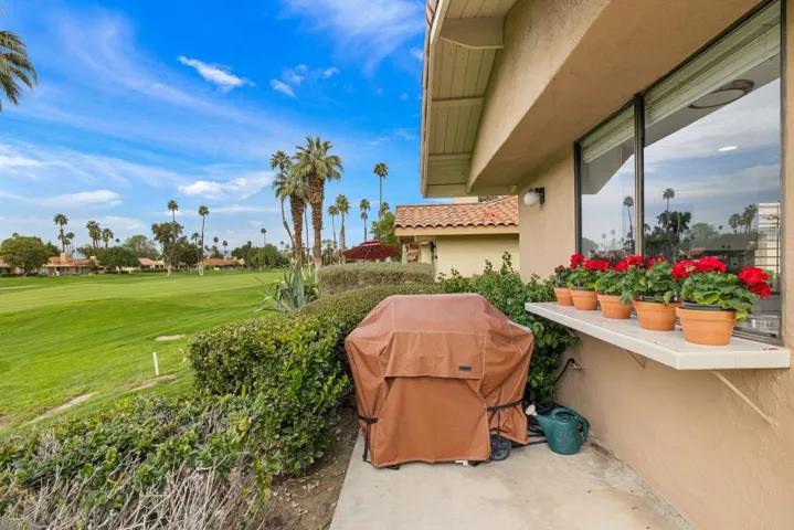 Rear Patio- north view