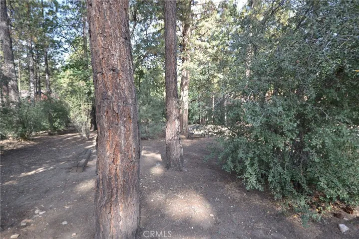 Beautifully Treed lot