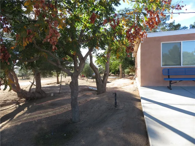 TREES NEXT TO FRONT DOOR