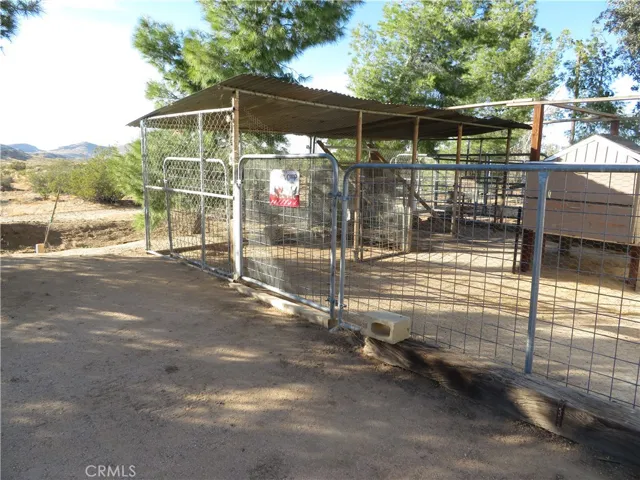 KENNELS