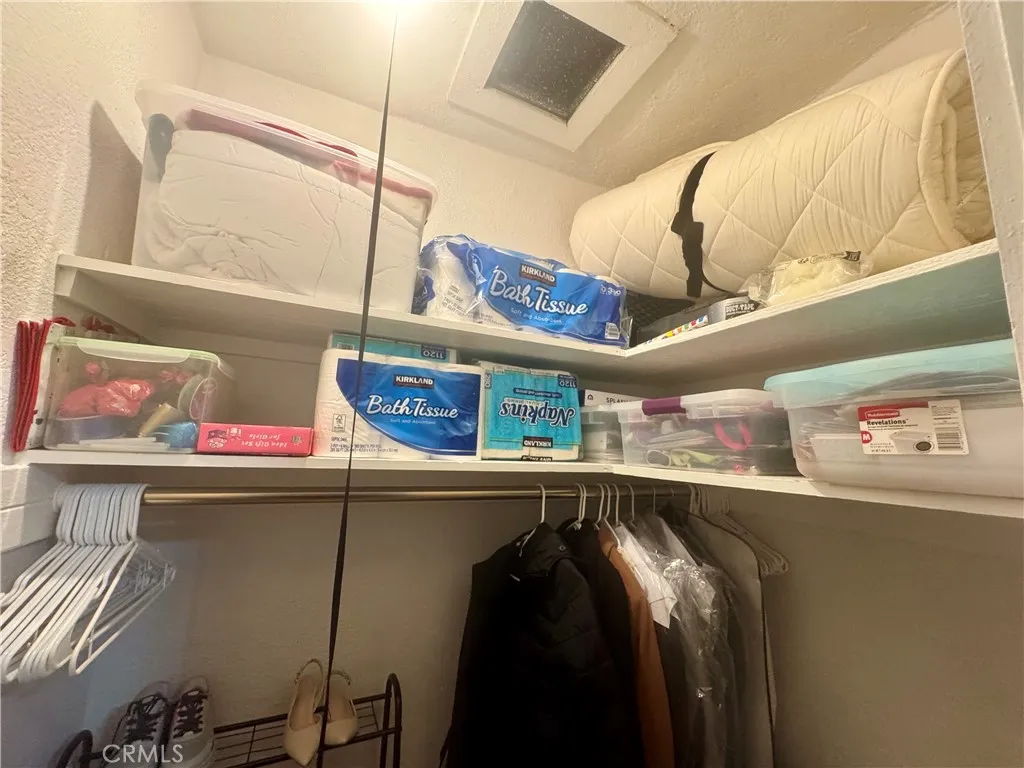 Walk in Closet #1