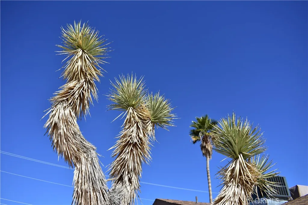 61611 Alta Loma Drive, Joshua Tree, California 92252 home-pic-11