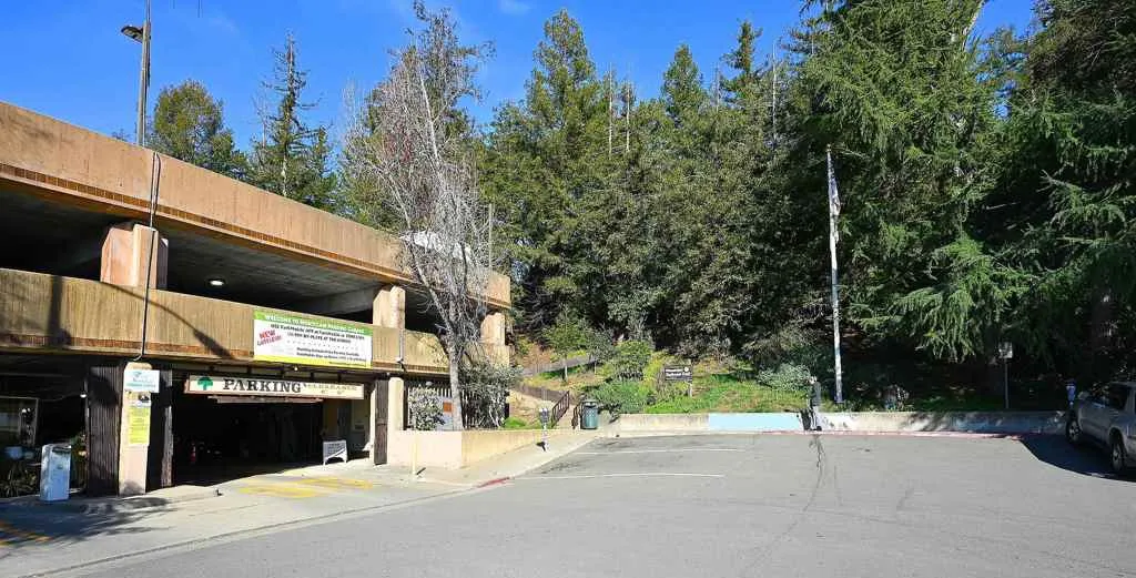 6211 6211 La Salle Ave, Oakland, California 94611 — photo 4