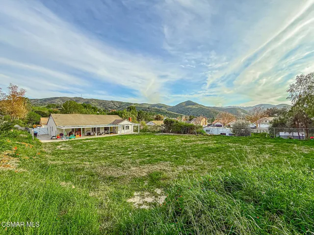 iBackyard8