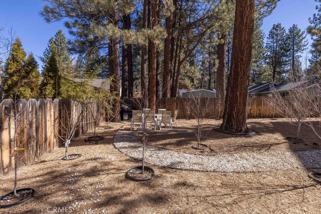 41664 Mcwhinney, Big Bear Lake, California 92315 home-pic-28