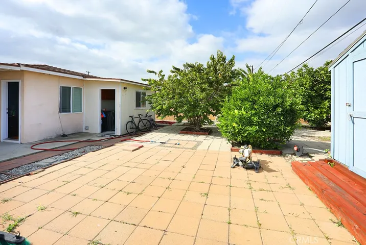 Spacious Back yard with Fruit trees