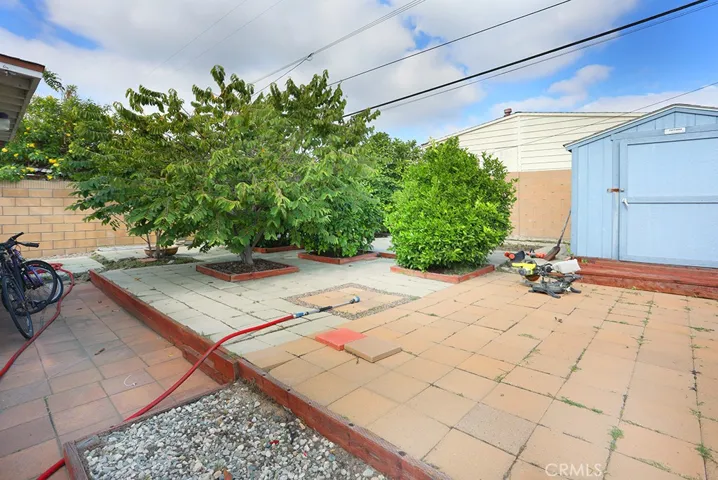 Spacious Back yard with Fruit trees