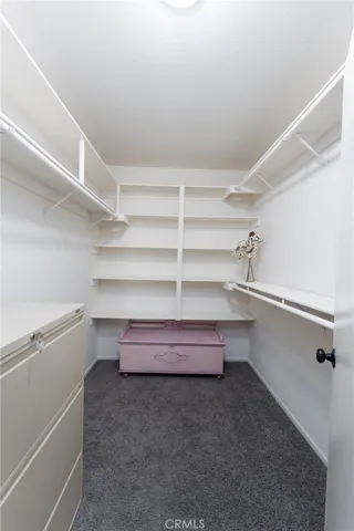 Primary large walk-in closet