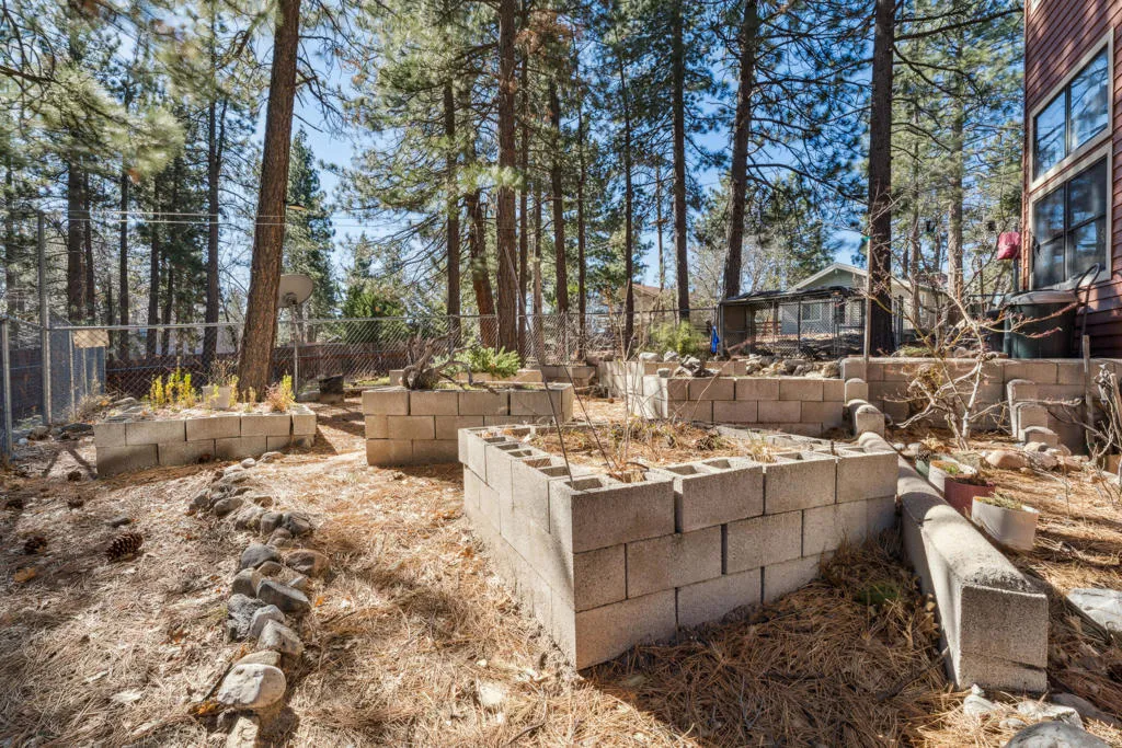 2455 Elko Drive, Arrowbear, California 92382 home-pic-29