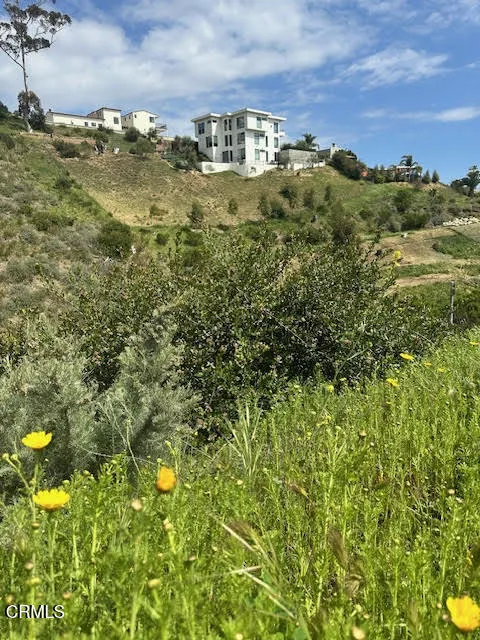 310 N Kalorama Street, Ventura, California 93001 home-pic-43