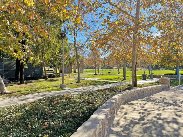 The fabulous Las Lomas Community Park that's down the street