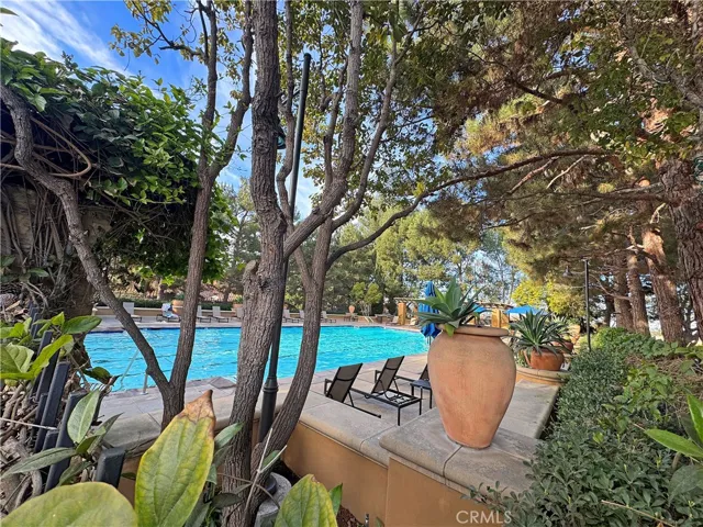 The pools are surrounded by lush foliage creating privacy and beauty