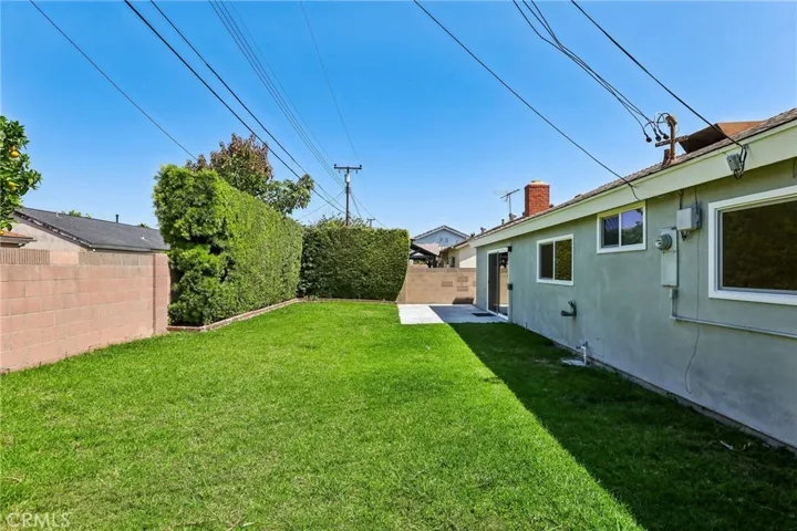 Back yard