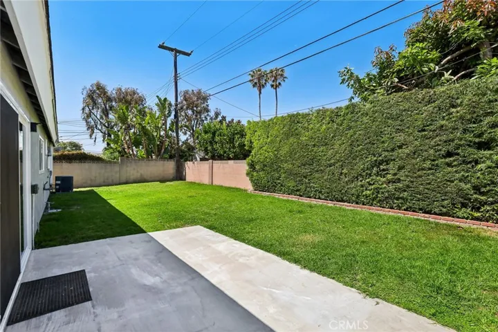 Back yard