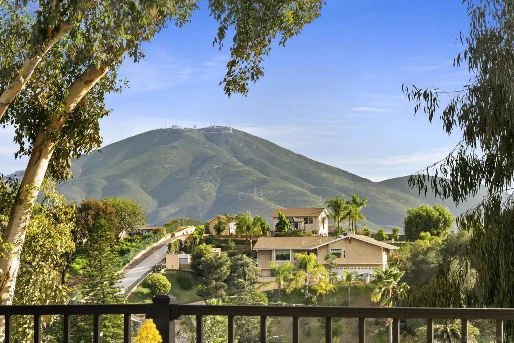 4214 Bobbie Ln, La Mesa, California 91941 home-pic-22