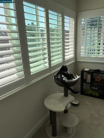 Master Bedroom windows