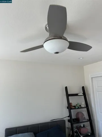 Master bedroom ceiling fan