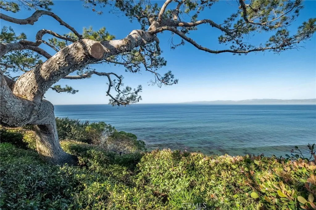 1733 Paseo Del Mar, Palos Verdes Estates, California 90274 home-pic-5