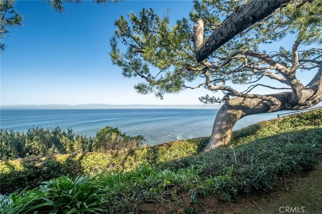 1733 Paseo Del Mar, Palos Verdes Estates, California 90274 home-pic-65