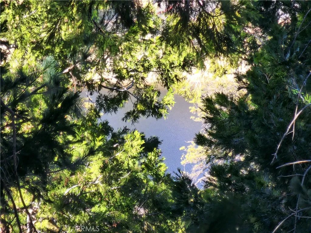 Lake views
