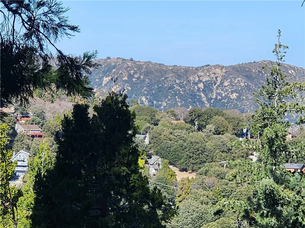 Panoramic views