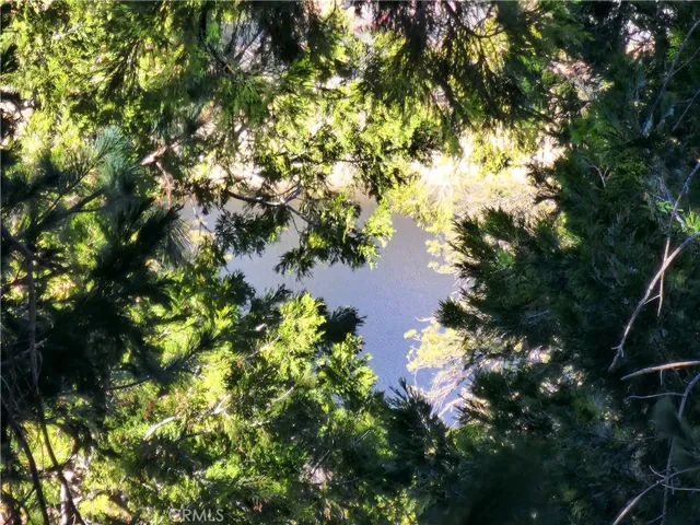 Lake views