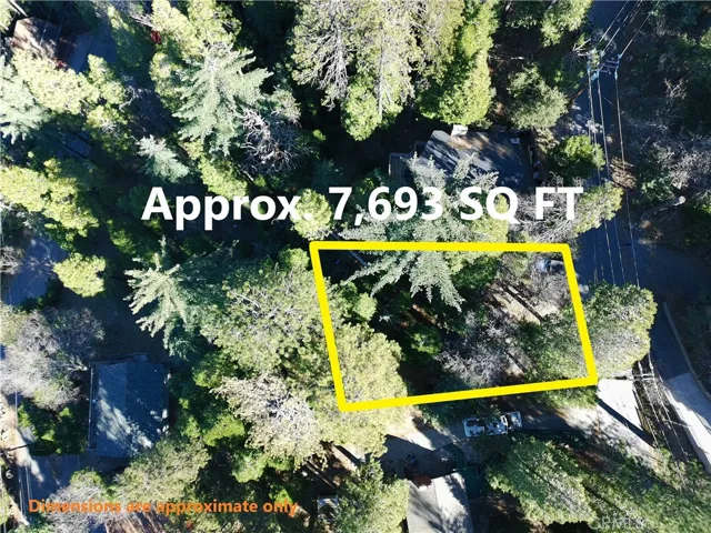 Drone view